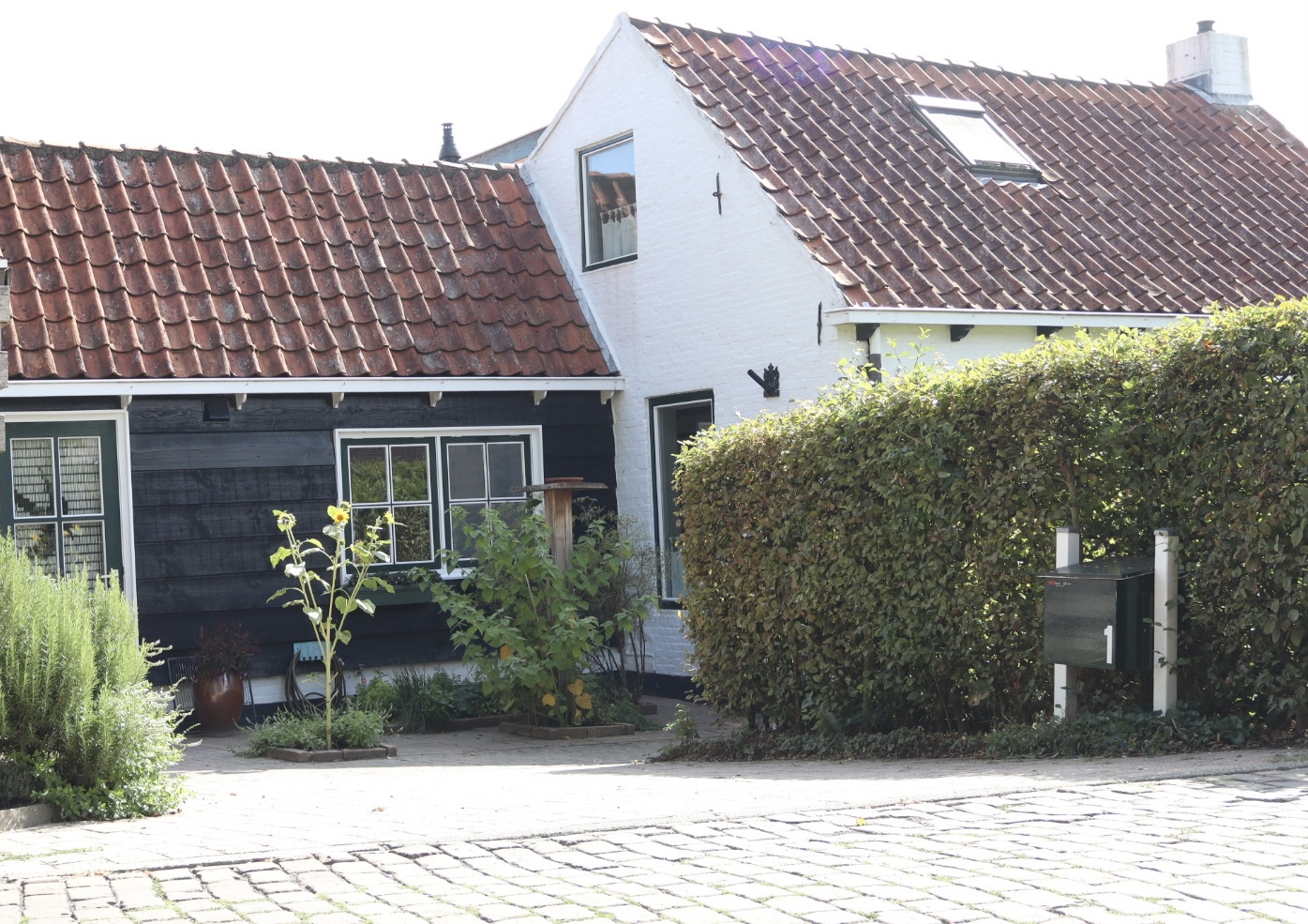 De Zeeuwse Plataan | Bed & Breakfast Gapinge Zeeland